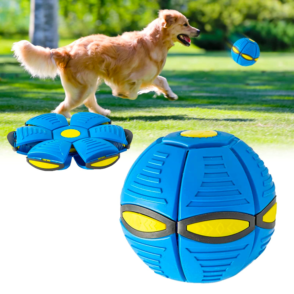 2024 New Doggy disc Ball Interactive Flying Saucer Ball Dog Toys pop up Ball for Dogs Variable Form Pet Toys (Blue) - Kool Pet Essentials