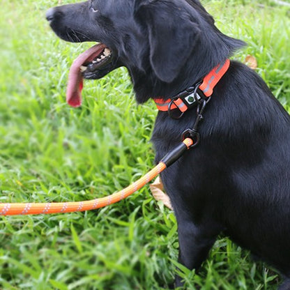 Night Reflective Dog Harness for Pets