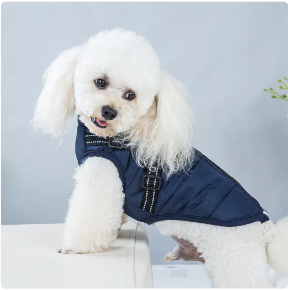 Padded Ski Vest For Pets