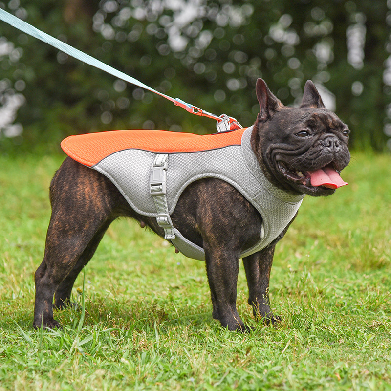 Cooling Vest for Pets - Kool Pet Essentials