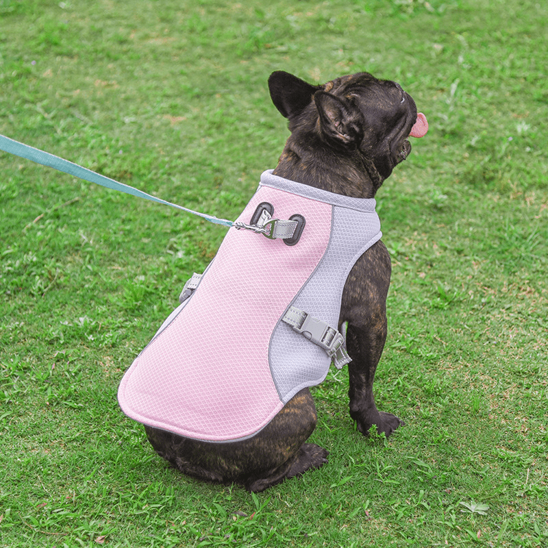 Cooling Vest for Pets - Kool Pet Essentials