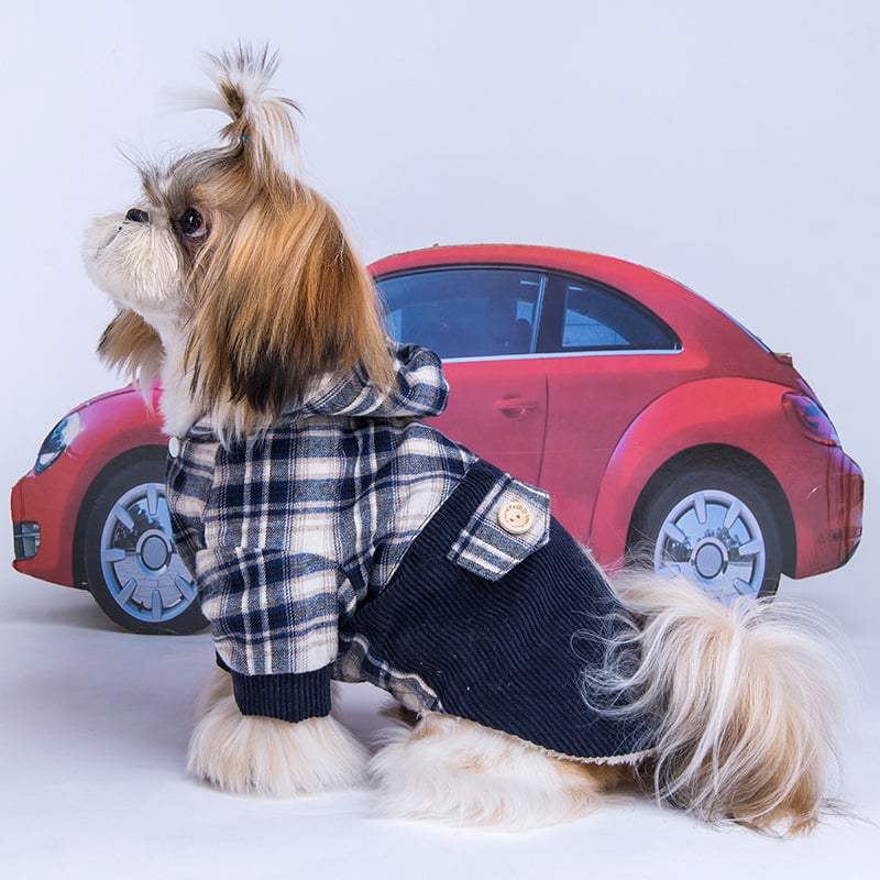 Cozy Cashmere Dog Hoodie – Warm Winter Coat for Small Dogs & Pomeranians - Kool Pet Essentials
