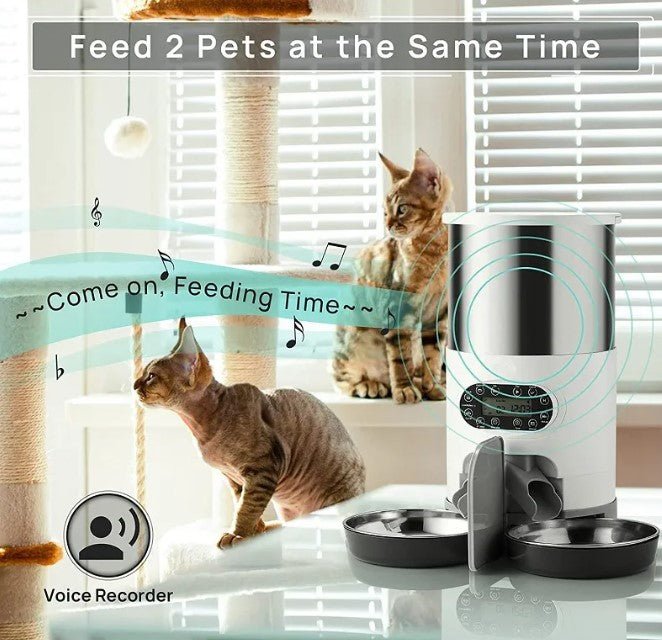 Double Meal Dispenser for Pets - Kool Pet Essentials