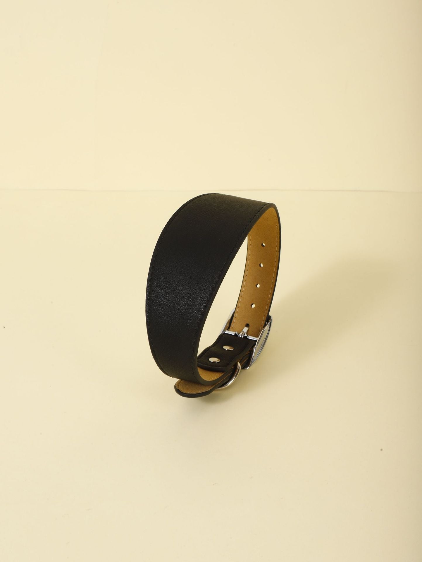 Adjustable Casual Collar for Pets