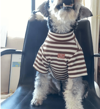 Lightweight Summer Clothing for Small Dogs - Kool Pet Essentials