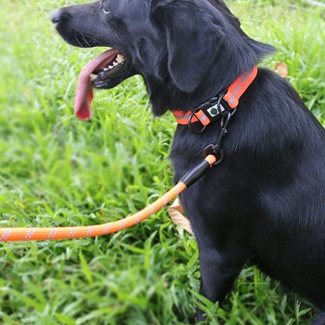 Night Reflective Dog Harness for Pets - Kool Pet Essentials