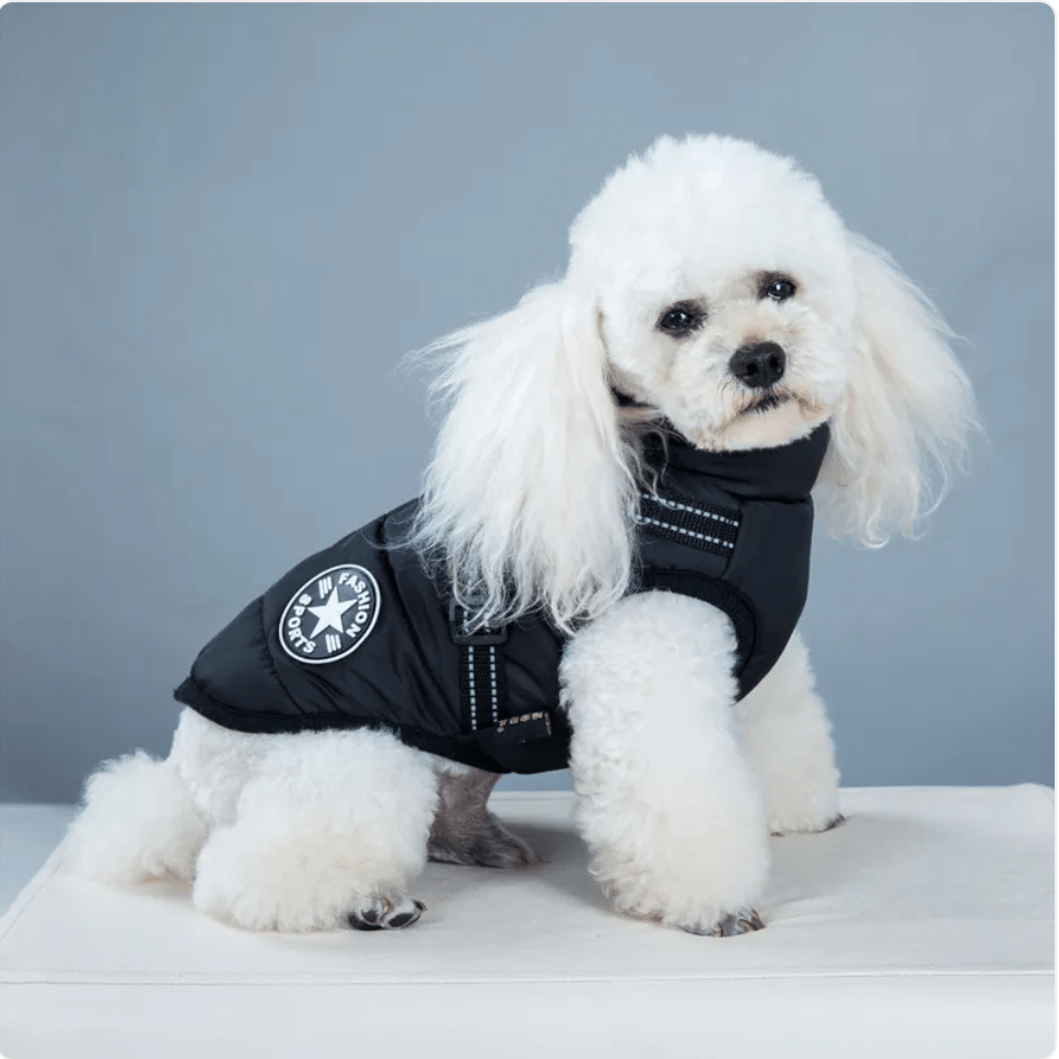 Padded Ski Vest For Pets - Kool Pet Essentials