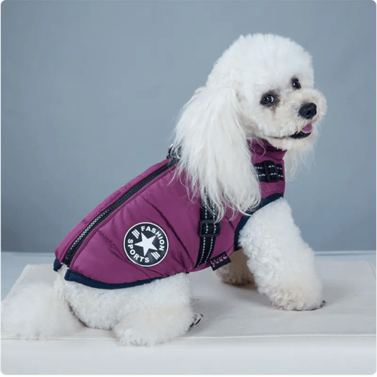 Padded Ski Vest For Pets - Kool Pet Essentials