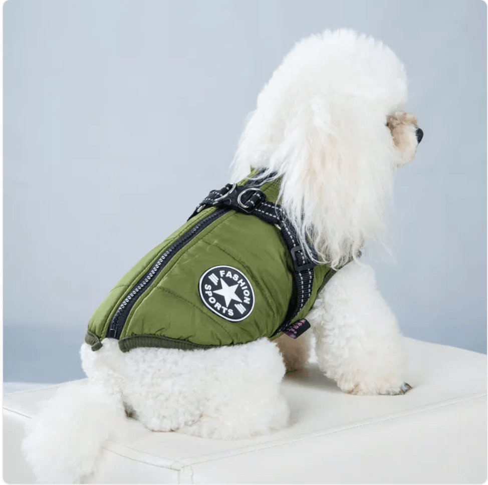Padded Ski Vest For Pets - Kool Pet Essentials