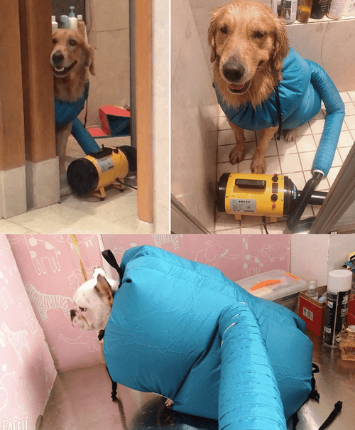 Pet Drying Box, Dryer, and Drying Bag - Kool Pet Essentials