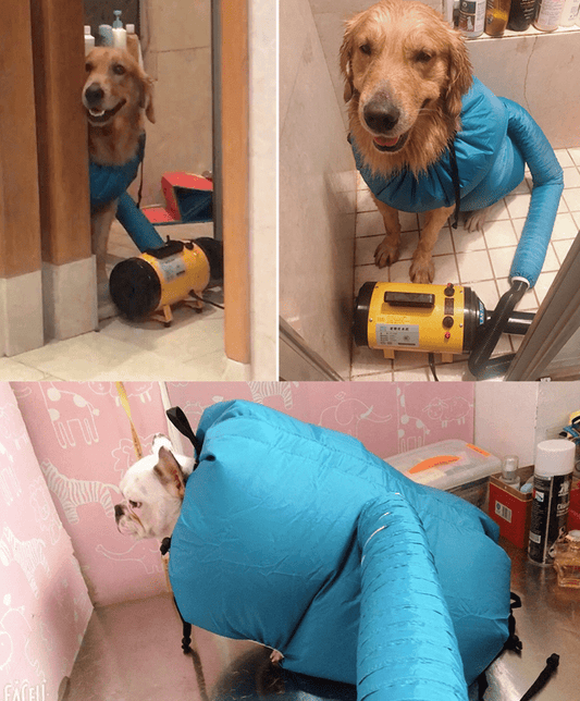 Pet Drying Box, Dryer, and Drying Bag - Kool Pet Essentials