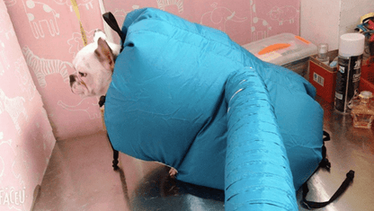 Pet Drying Box, Dryer, and Drying Bag - Kool Pet Essentials