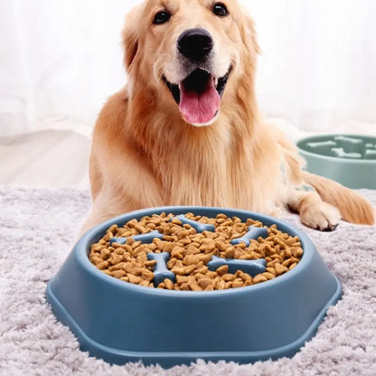 Slow Feeder Pet Bowl - Kool Pet Essentials
