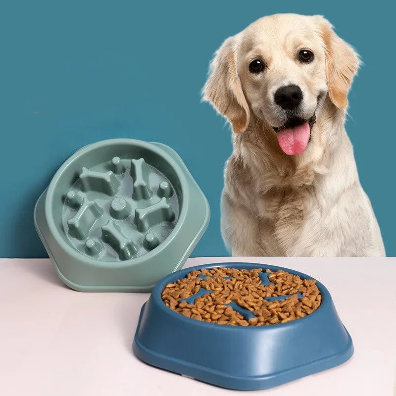 Slow Feeder Pet Bowl - Kool Pet Essentials