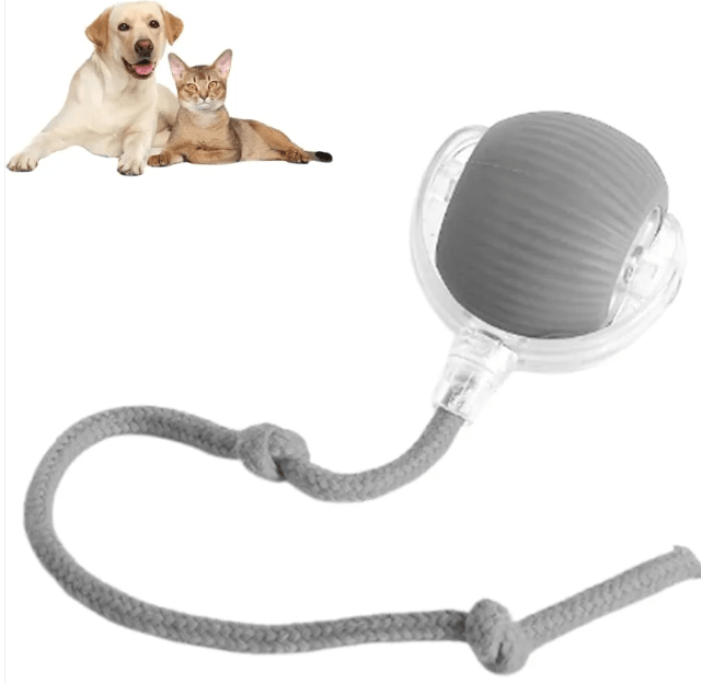 Smart Auto-Rolling Pet Ball – Self-Moving Interactive Toy for Dogs & Cats - Kool Pet Essentials