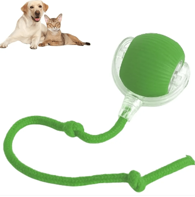 Smart Auto-Rolling Pet Ball – Self-Moving Interactive Toy for Dogs & Cats - Kool Pet Essentials