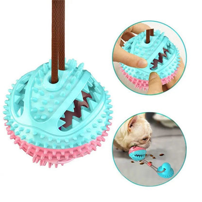 Suction Ball Interactive Dog Toy - Kool Pet Essentials