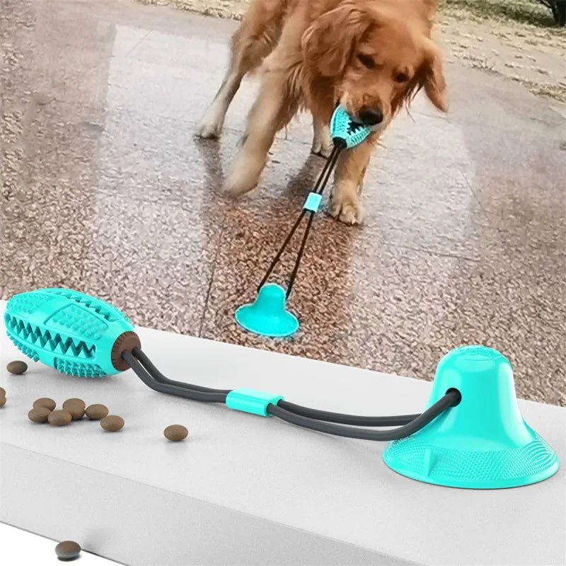Suction Ball Interactive Dog Toy - Kool Pet Essentials