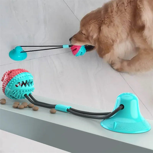 Suction Ball Interactive Dog Toy - Kool Pet Essentials