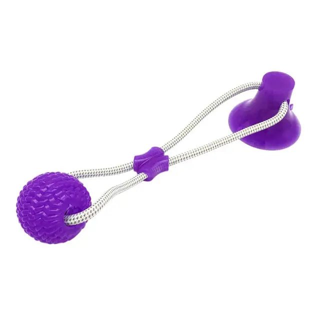 Suction Ball Interactive Dog Toy - Kool Pet Essentials