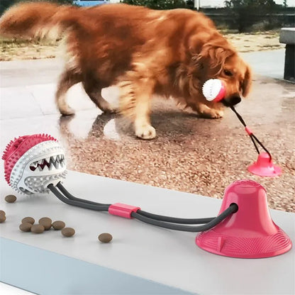 Suction Ball Interactive Dog Toy - Kool Pet Essentials