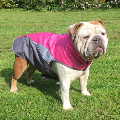 Waterproof Outdoor Pet Raincoat and Insulated Jacket - Kool Pet Essentials